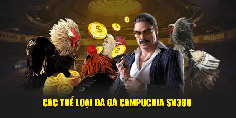 Các thể loại đá gà campuchia SV368 