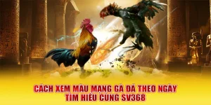 cách xem màu mạng gà đá theo ngày