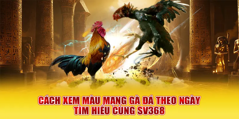 cách xem màu mạng gà đá theo ngày