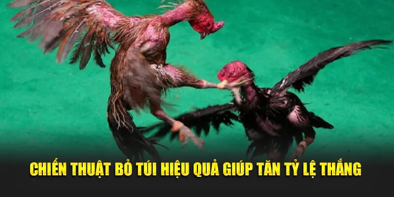 Chiến thuật bỏ túi hiệu quả giúp tăn tỷ lệ thắng 