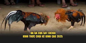 đá gà cựa sắt tại sv368