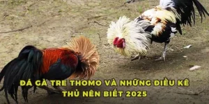 đá gà tre thomo