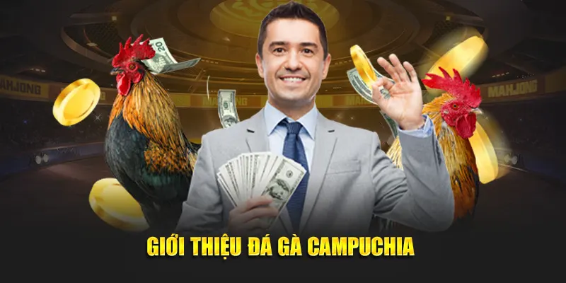 Giới thiệu đá gà campuchia