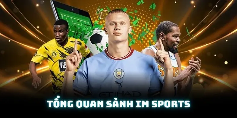 Tìm hiểu sơ lược về sảnh cược thể thao IM Sports