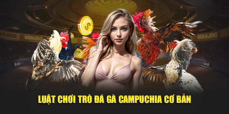 Sơ bộ luật chơi trò đá gà campuchia cơ bản