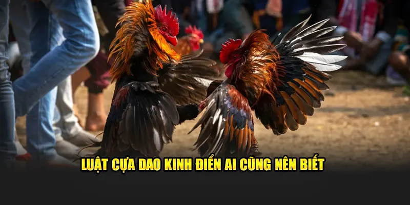 Luật cựa dao kinh điển ai cũng nên biết