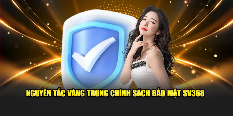 Nguyên tắc vàng trong chính sách bảo mật SV368