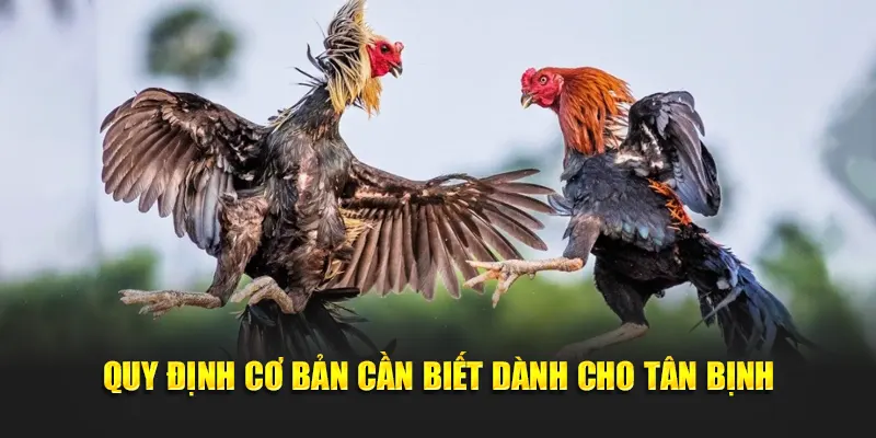 Quy định cơ bản cần biết dành cho tân bịnh