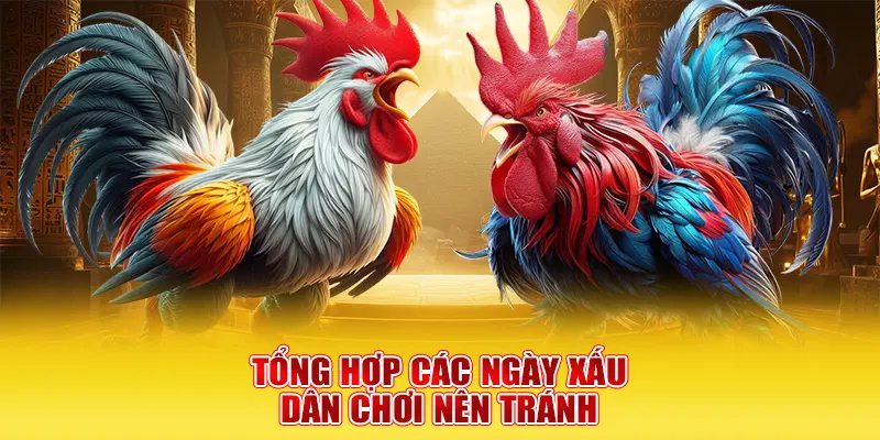 Tổng hợp các ngày xấu dân chơi nên tránh