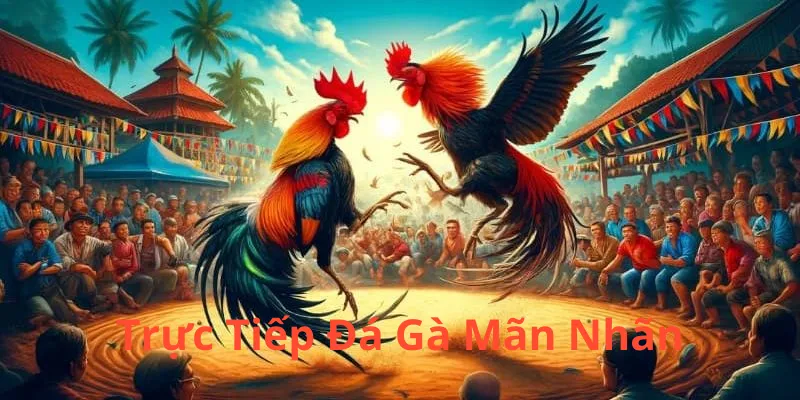trực tiếp đá gà mãn nhãn tại sv368