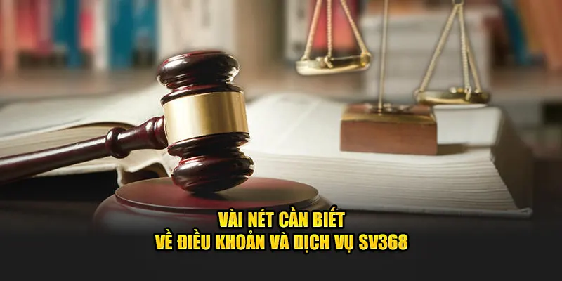 Vài nét cần biết về điều khoản và dịch vụ SV368
