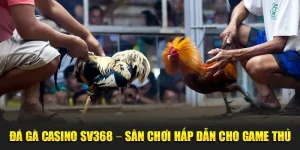 đá gà casino tại sv368